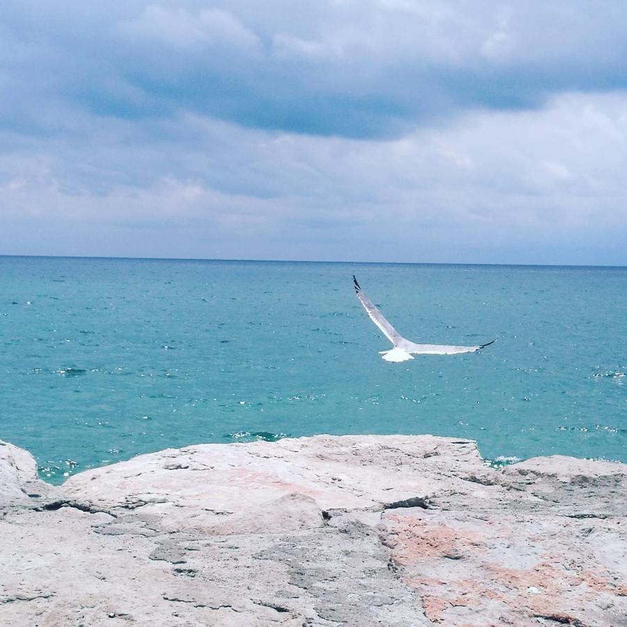 B&B Dimora Di Traiano Terracina Εξωτερικό φωτογραφία